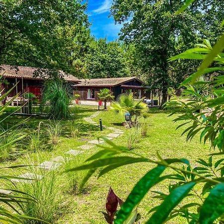 Hacienda De La Canopee Avec Piscine Chauffee Au Sel Hourtin Dış mekan fotoğraf