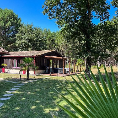 Hacienda De La Canopee Avec Piscine Chauffee Au Sel Hourtin Dış mekan fotoğraf