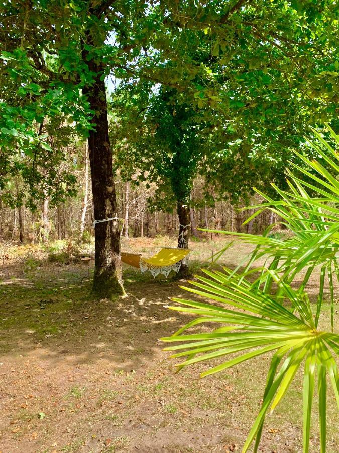 Hacienda De La Canopee Avec Piscine Chauffee Au Sel Hourtin Dış mekan fotoğraf