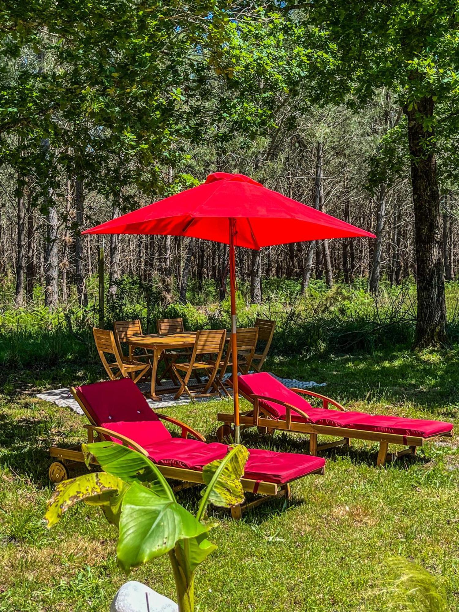 Hacienda De La Canopee Avec Piscine Chauffee Au Sel Hourtin Dış mekan fotoğraf